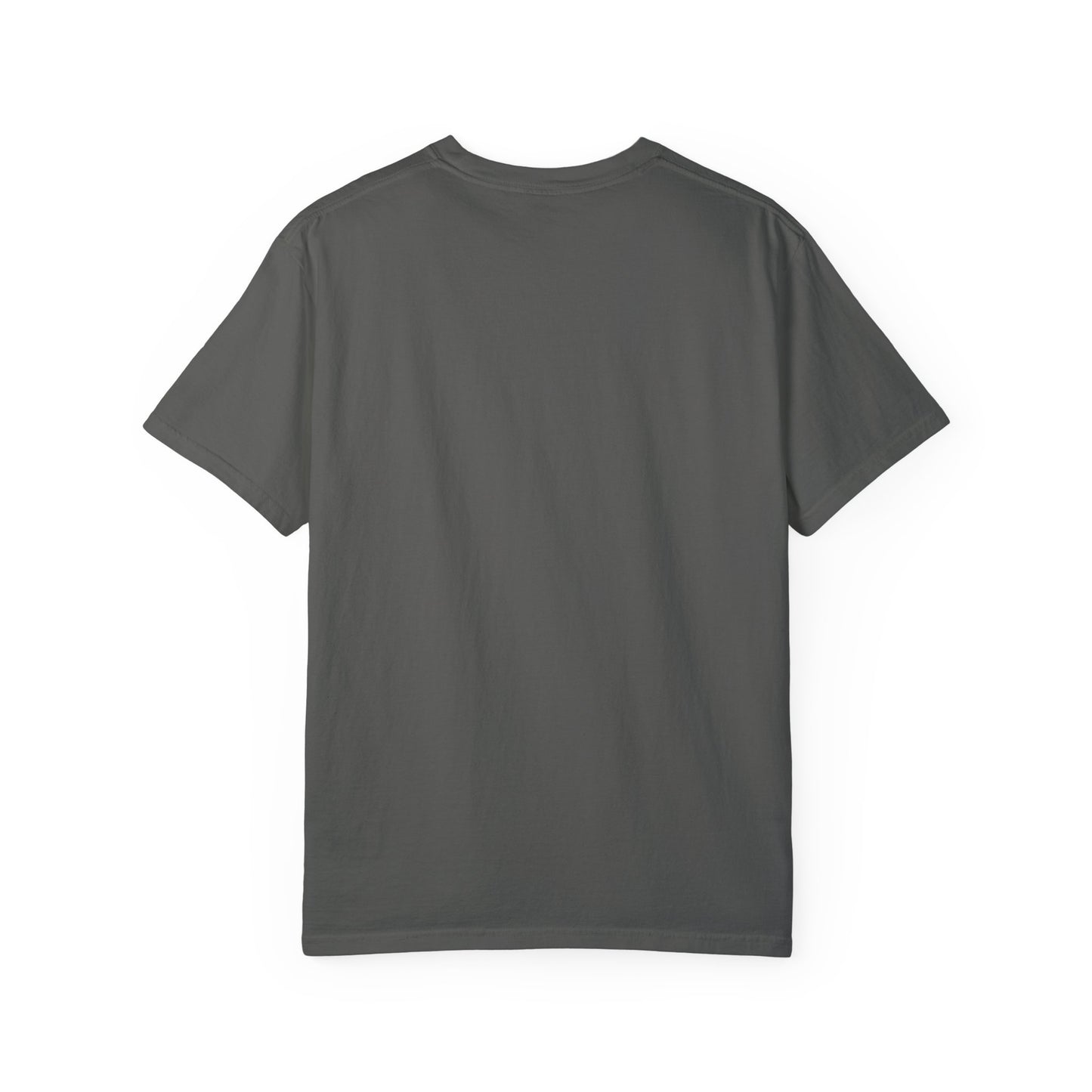 In My 100 Days Smarter Era Unisex Garment-Dyed T-shirt
