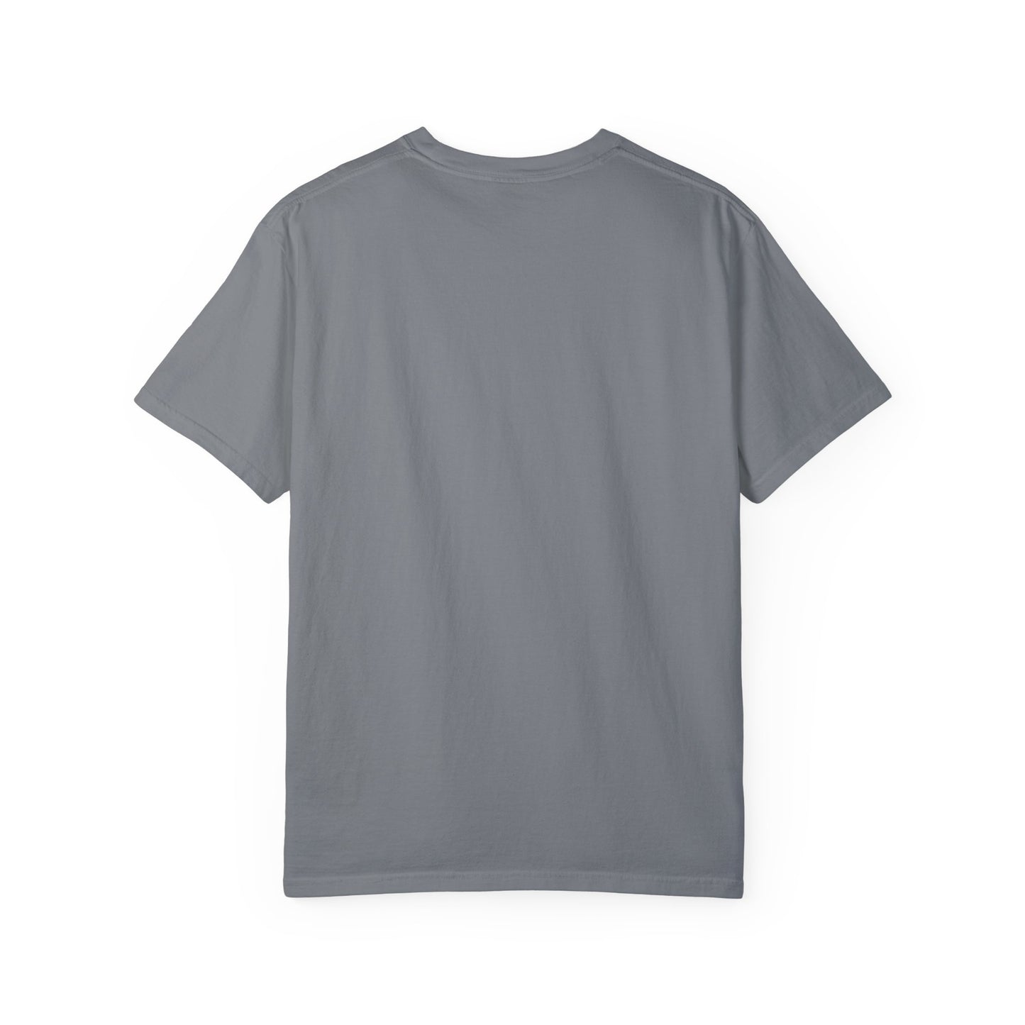 In My 100 Days Smarter Era Unisex Garment-Dyed T-shirt