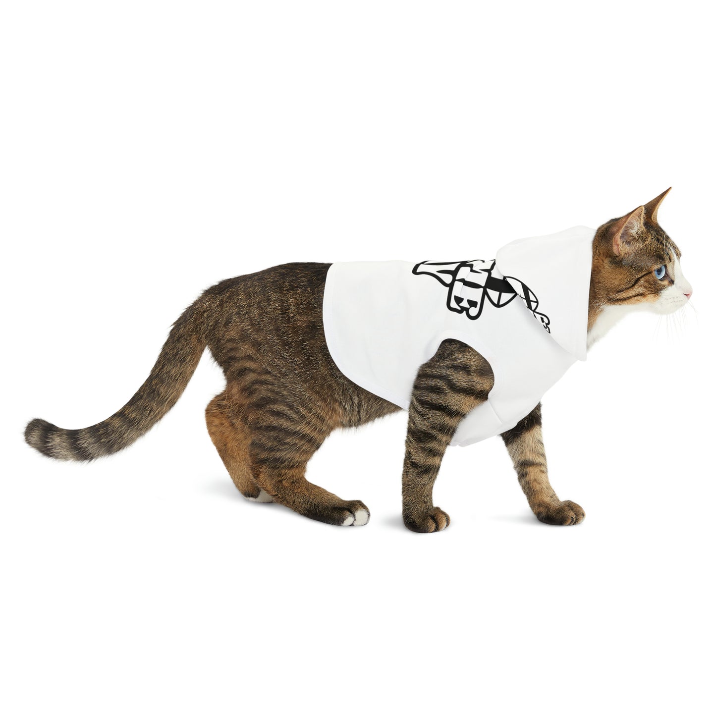 Game Day Pet Hoodie