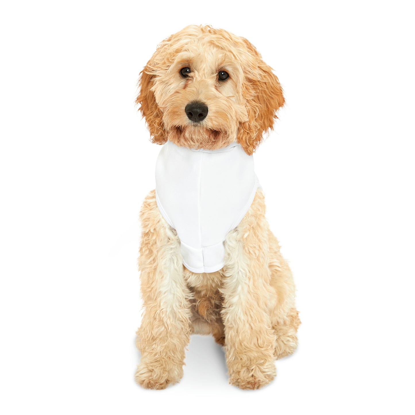 Pizza Wings Celery Bleu Cheese Pet Hoodie