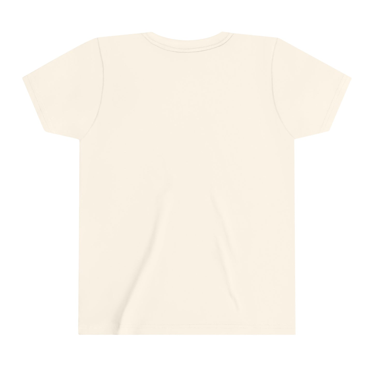 Popsicles Pool Days Picnics Park Swings Youth Short Sleeve Tee