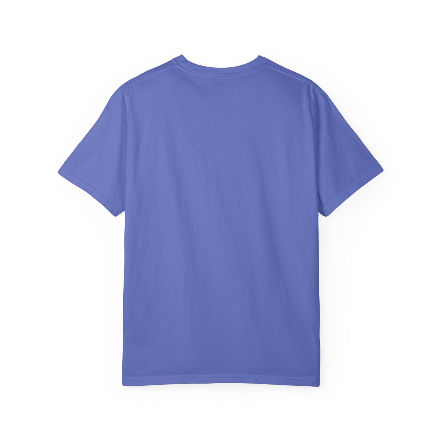 In My 100 Days Smarter Era Unisex Garment-Dyed T-shirt