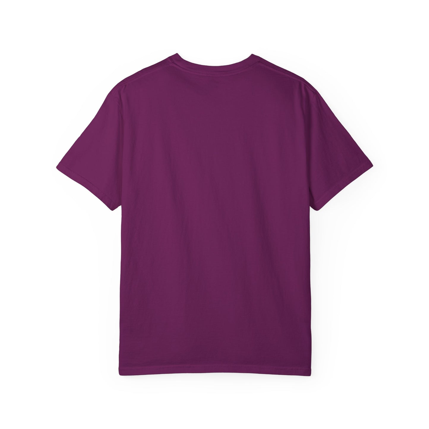 In My 100 Days Smarter Era Unisex Garment-Dyed T-shirt